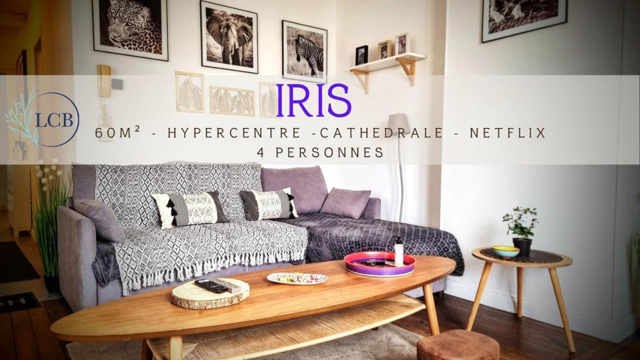 Au Coeur De Reims - Iris Appartement Buitenkant foto